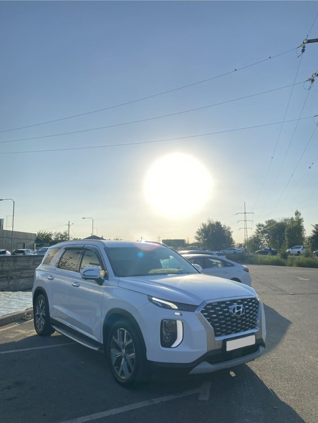 Hyundai Palisade: 2020 г., 2.2 л, Автомат, Бензин, Кроссовер: фото 3