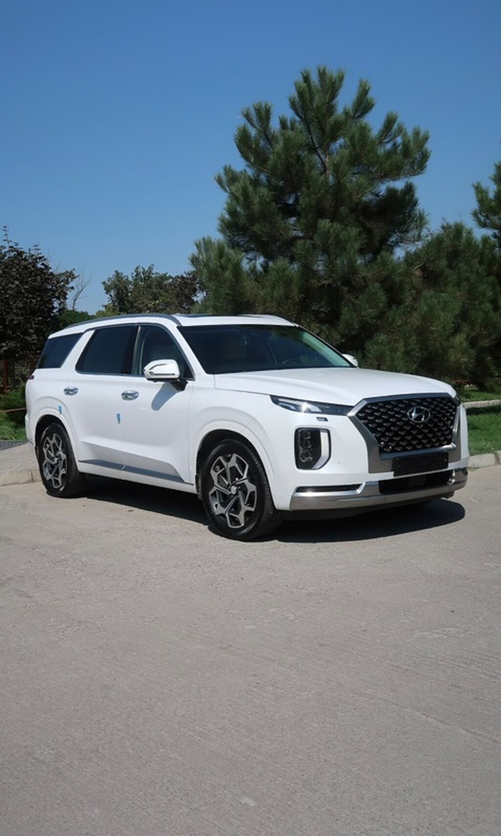 Hyundai Palisade: 2021 г., 2.2 л, Автомат, Дизель, Кроссовер: фото 2