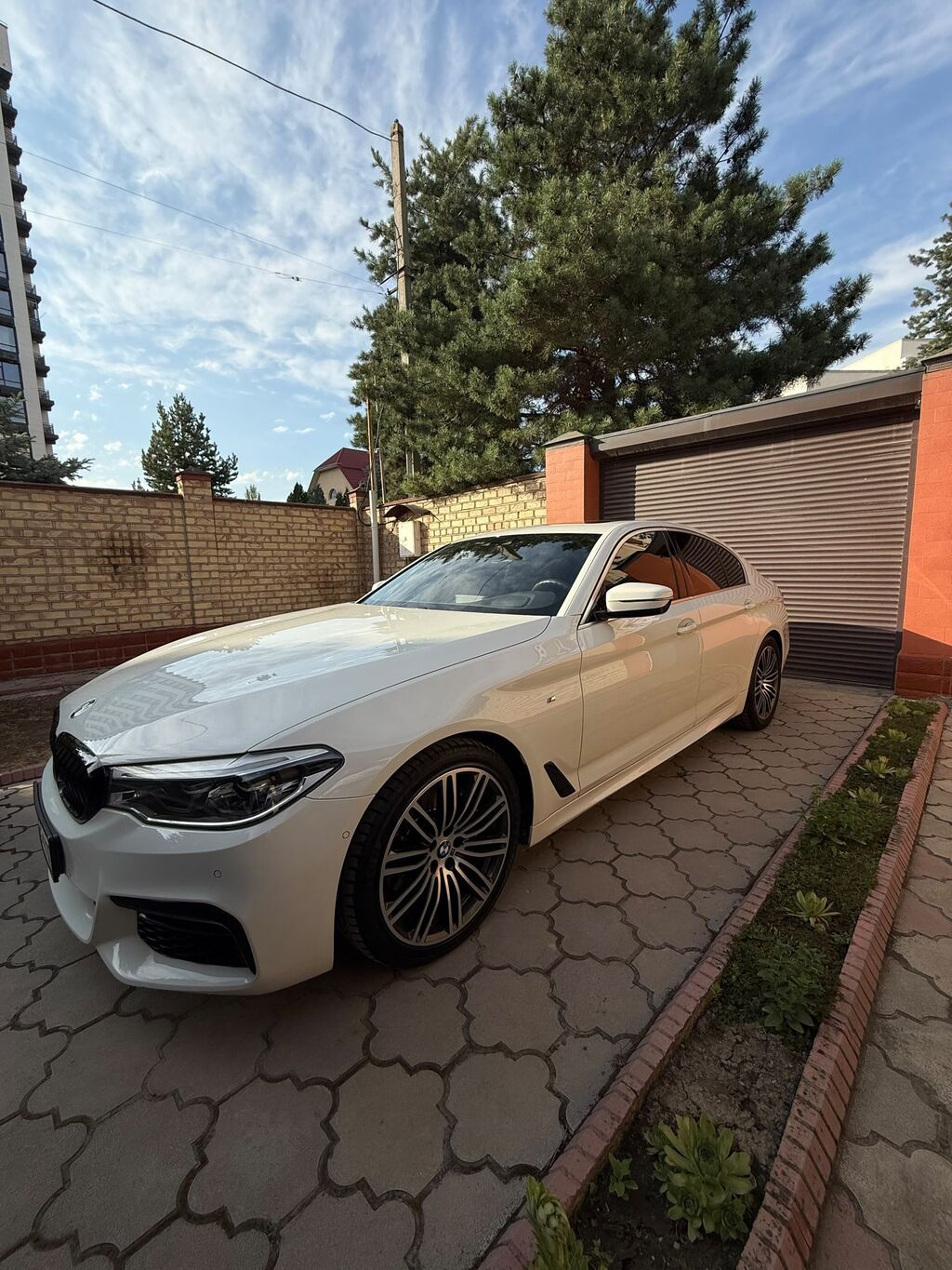 BMW 530: 2019 г., 2 л, Автомат, Бензин: фото 5