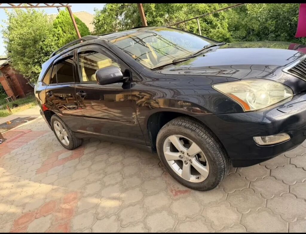 Lexus RX: 2006 г., 3.3 л, Автомат, Бензин, Кроссовер: фото 5