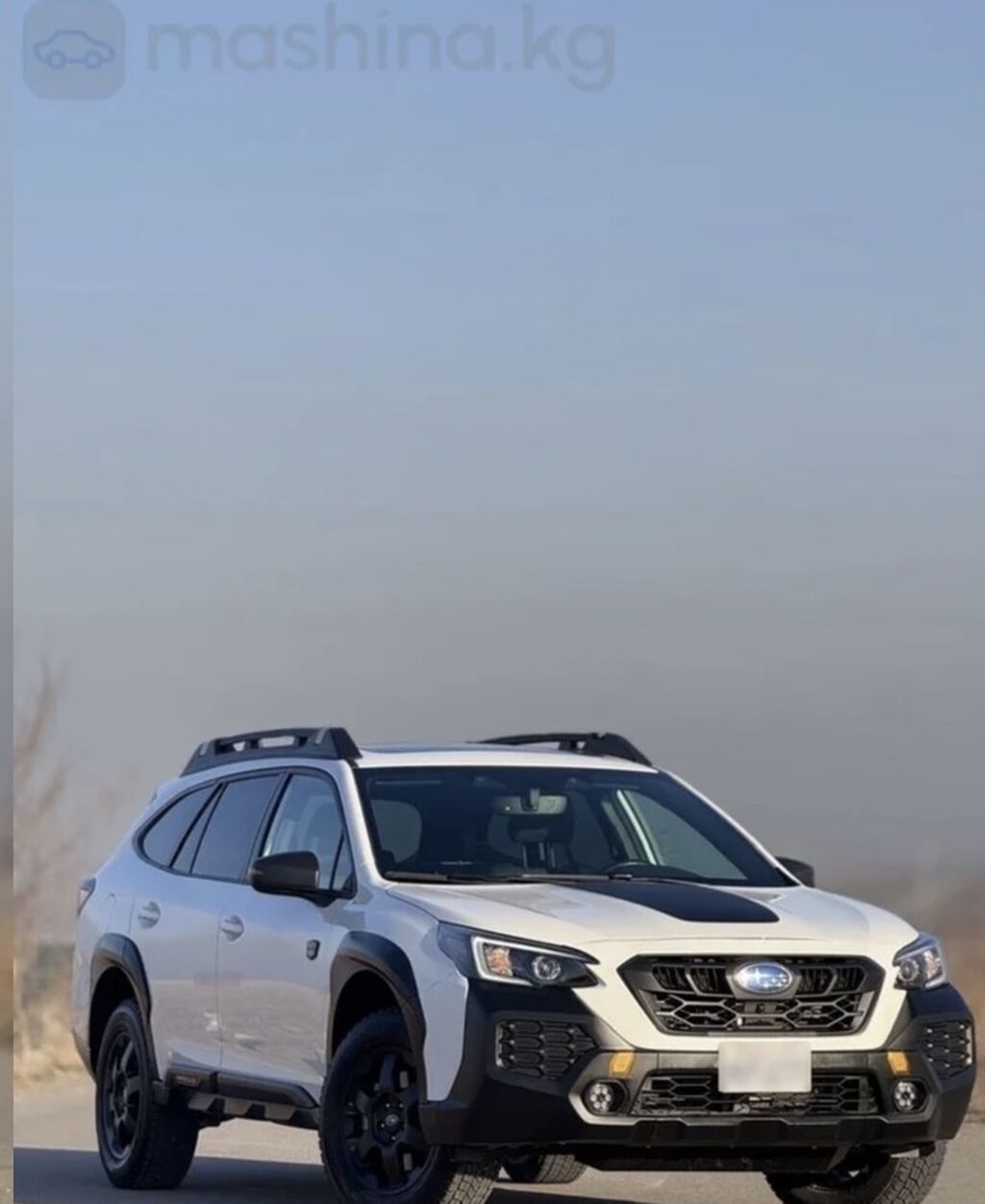 Subaru Outback: 2024 г., 2.4 л, Вариатор, Бензин, Универсал: фото 6