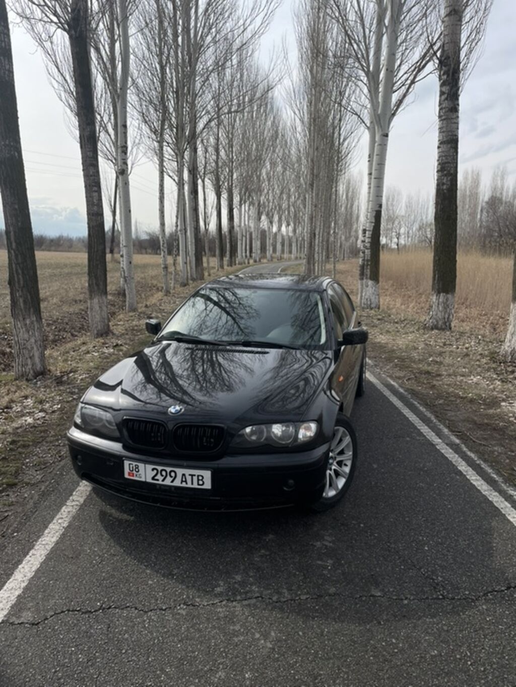 BMW 3 series: 2004 г., Автомат, Бензин, Седан: фото 2