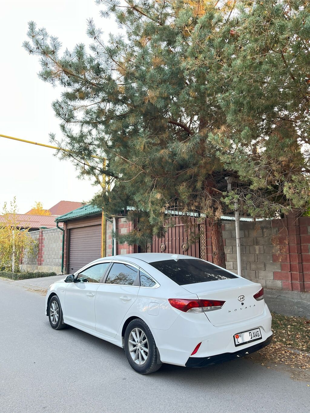 Hyundai Sonata: 2018 г., 2 л, Автомат, Газ, Седан: фото 8