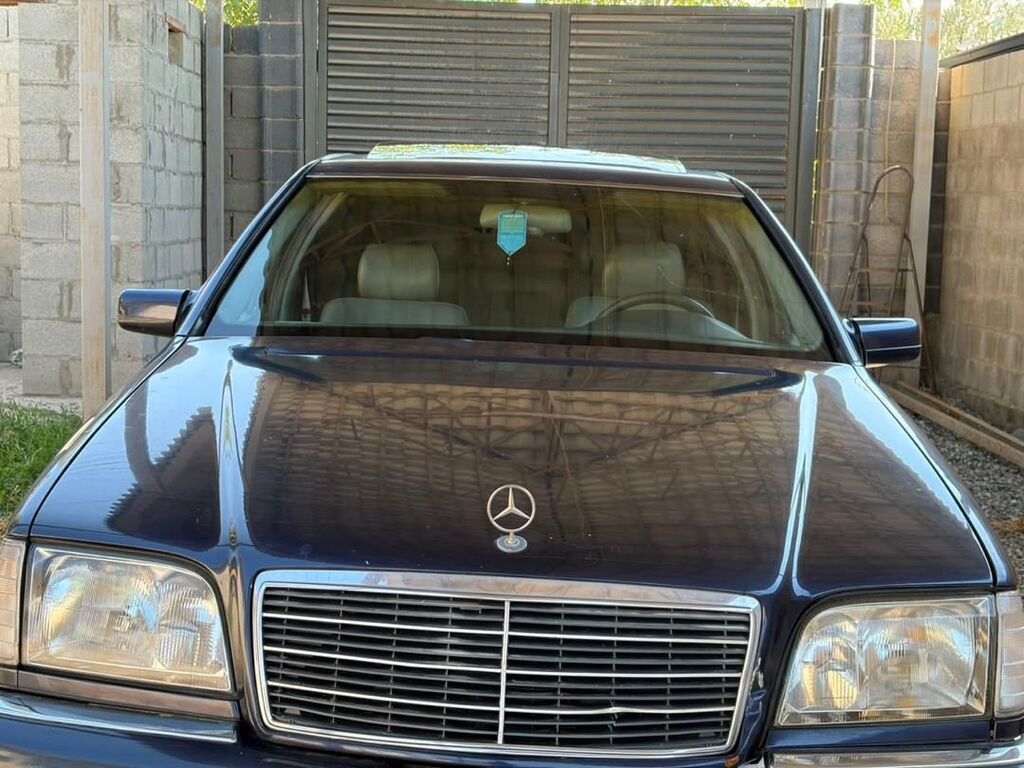 Mercedes-Benz S-Class: 1995 г., 4.2 л, Автомат, Бензин, Седан: фото 3