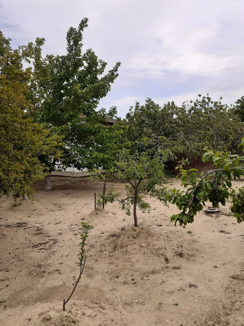 3 otaqlı, 90 kv. m, Kredit yoxdur, Təmirsiz