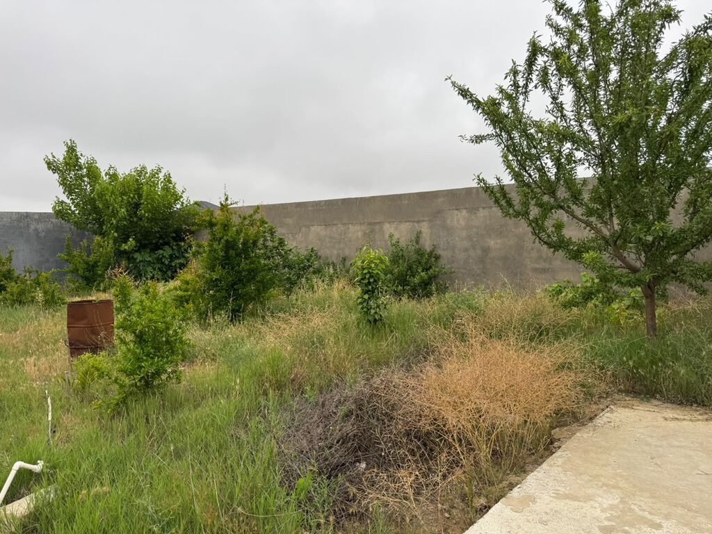 Nardaran qəs. 4 otaqlı, 180 kv. m, Kredit yoxdur, Orta təmir