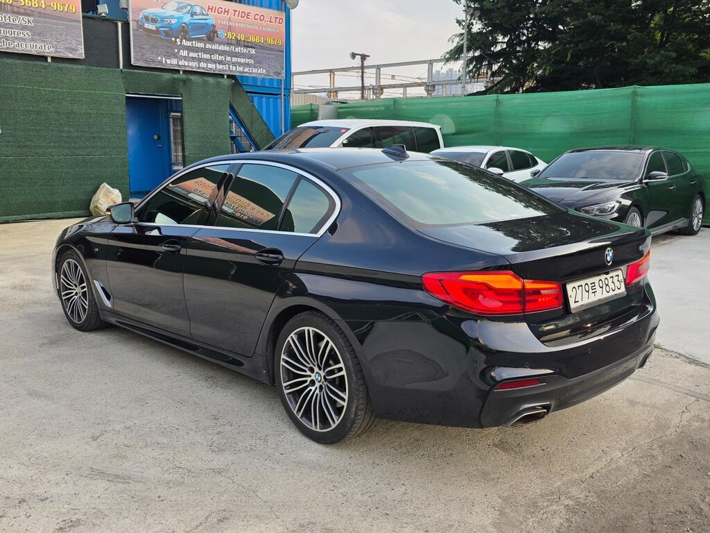 BMW 530: 2020 г., 2 л, Автомат, Бензин, Седан: фото 4
