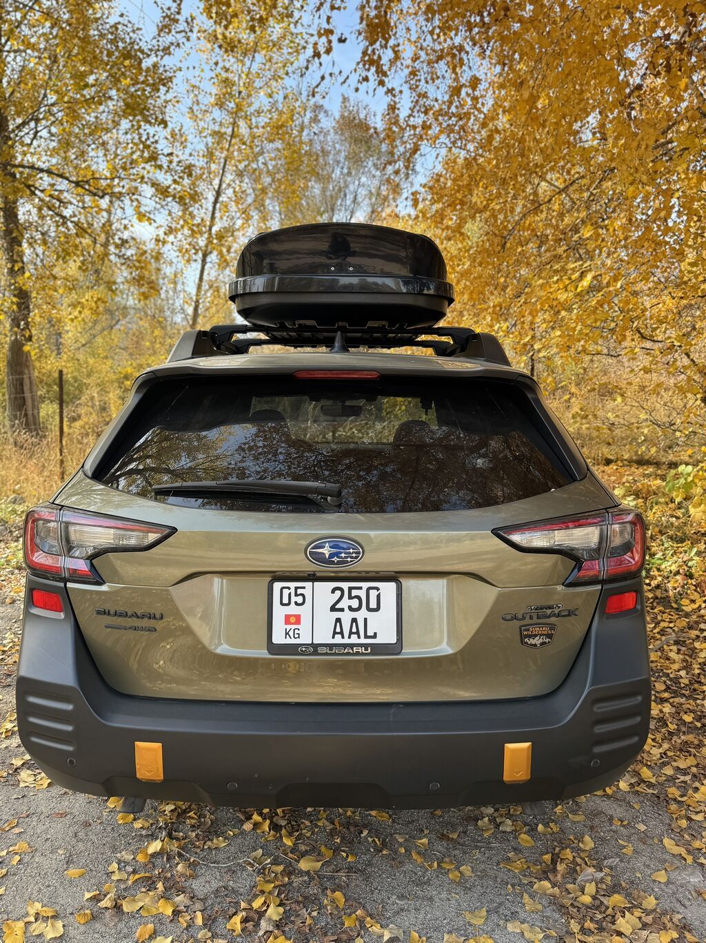 Subaru Outback: 2022 г., 2.4 л, Вариатор, Бензин, Универсал: фото 5