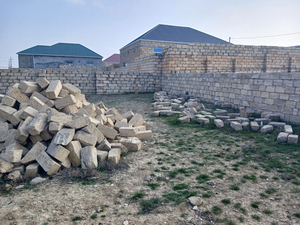 Tikinti