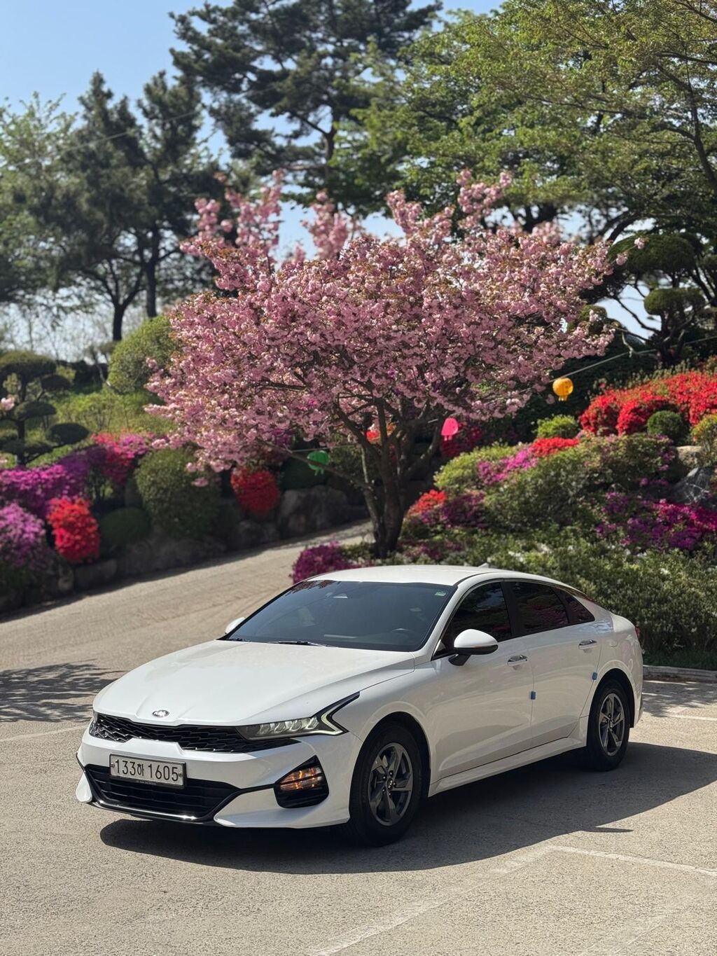 Kia K5: 2020 г., 2 л, Автомат, Газ, Седан: фото 8