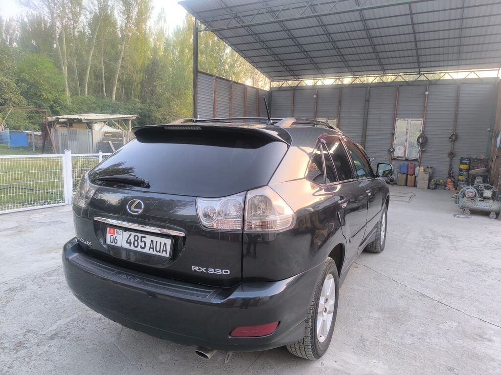 Lexus RX: 2005 г., 3.3 л, Автомат, Газ, Кроссовер: фото 2