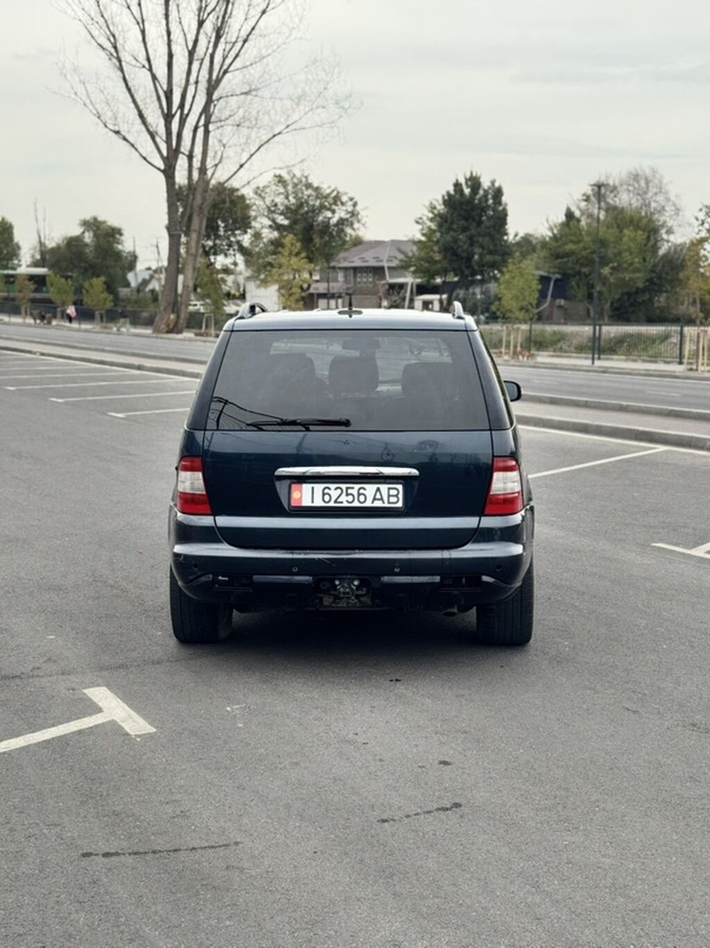 Mercedes-Benz M-Class: 2003 г., 4 л, Автомат, Дизель, Кроссовер: фото 8
