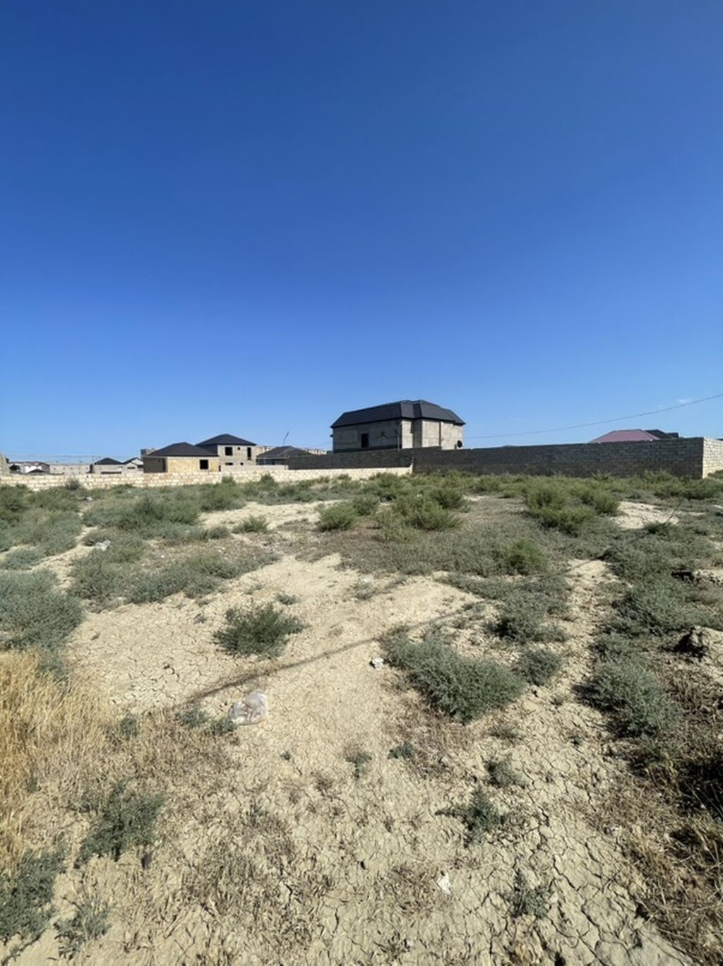 Tikinti