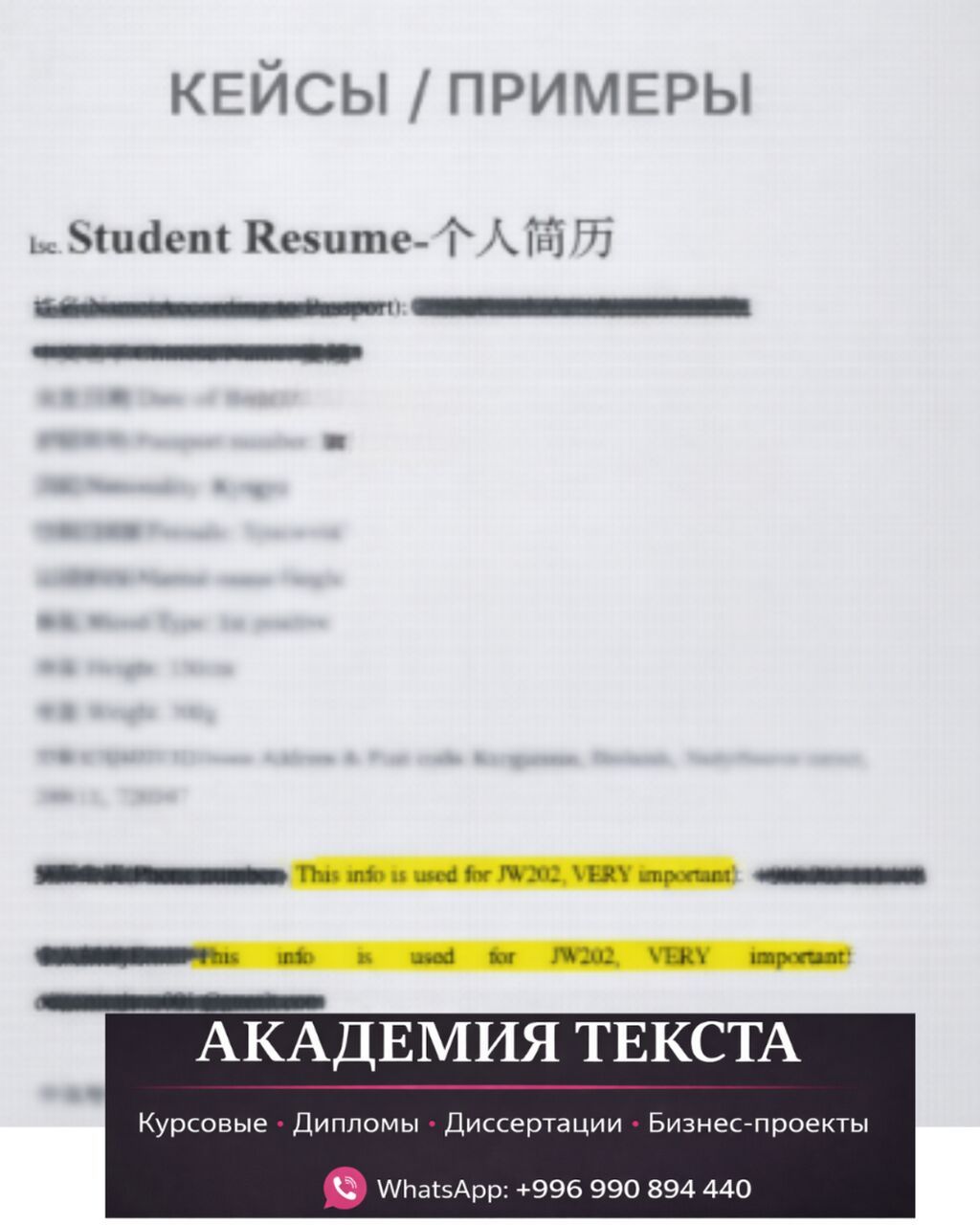 — Резюме (Анкета для вузов, языковых курсов ЗА РУБЕЖОМ и также для: фото 4