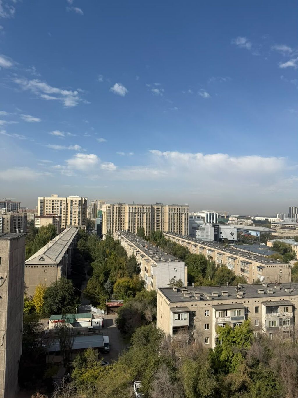 4 комнаты, 168 м², Карпинка Элитка, 11 этаж, ПСО (под самоотделку): фото 2