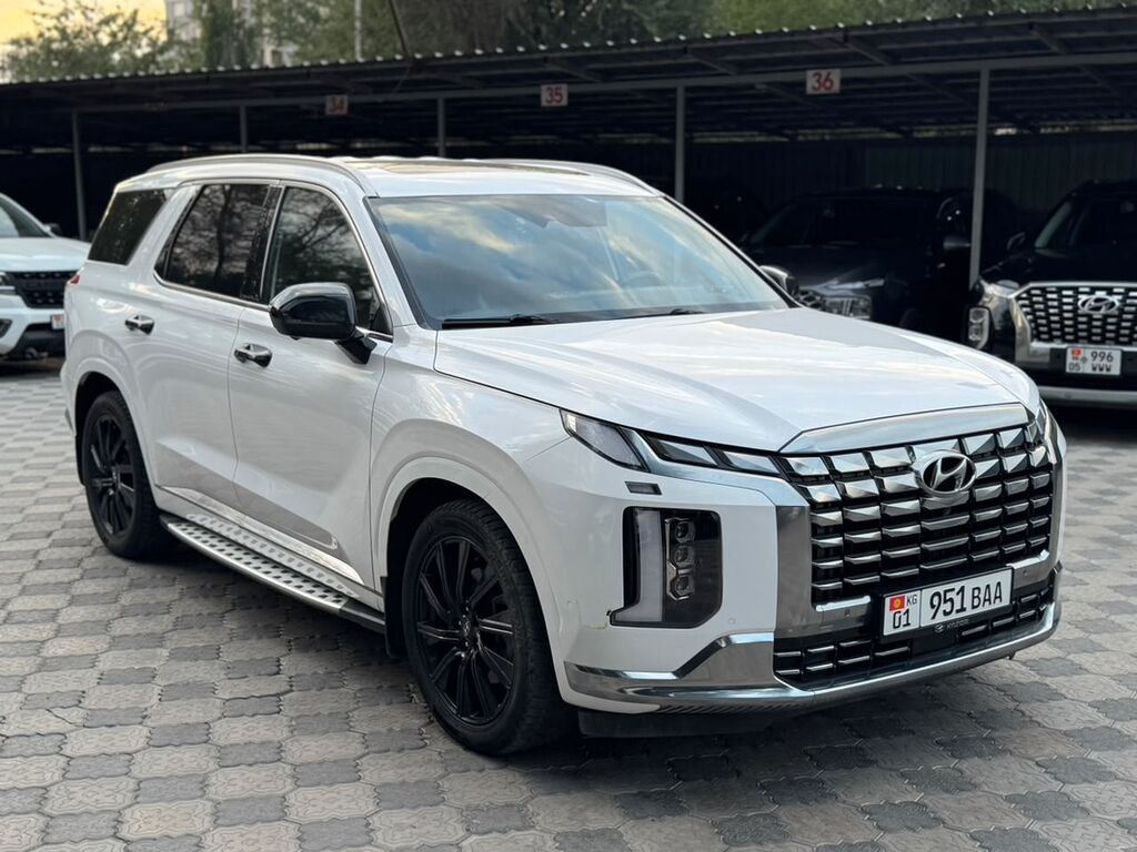 Hyundai Palisade: 2023 г., 2.2 л, Автомат, Дизель, Кроссовер: фото 1