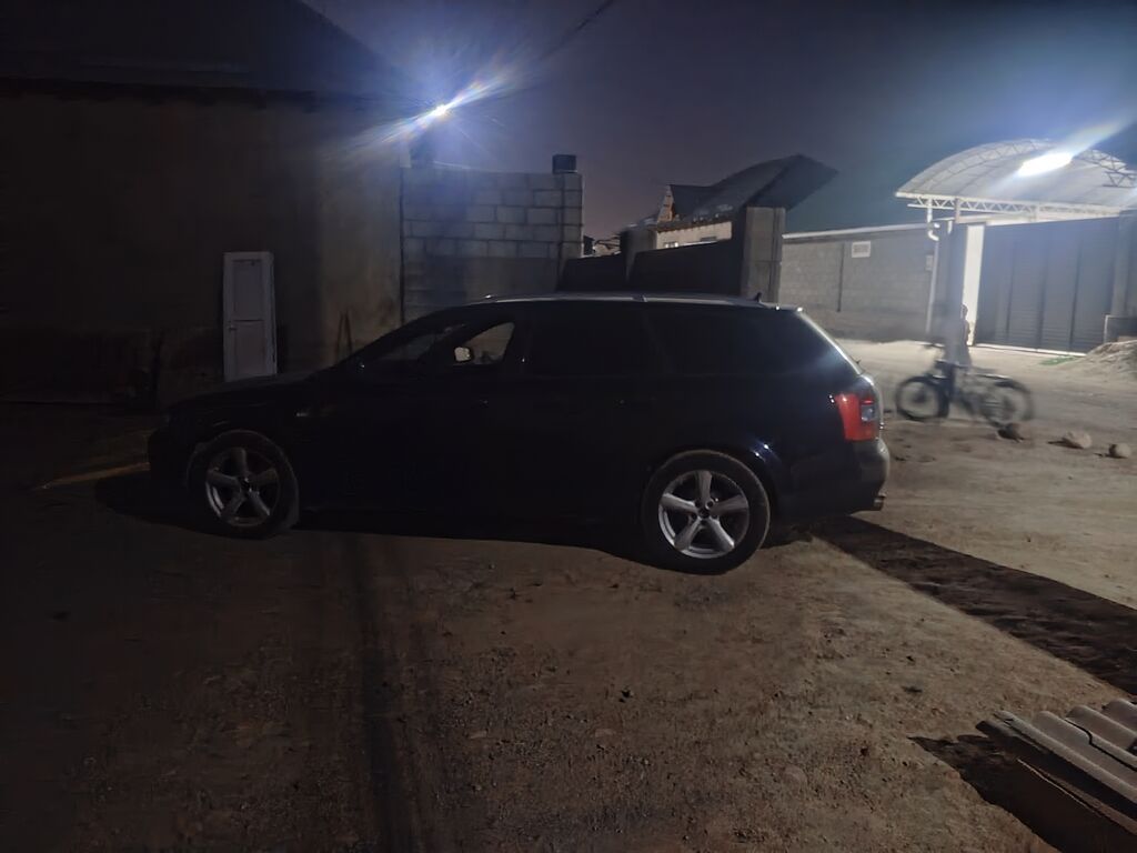 Audi A4: 2003 г., 2.5 л, Вариатор, Дизель, Универсал: фото 8