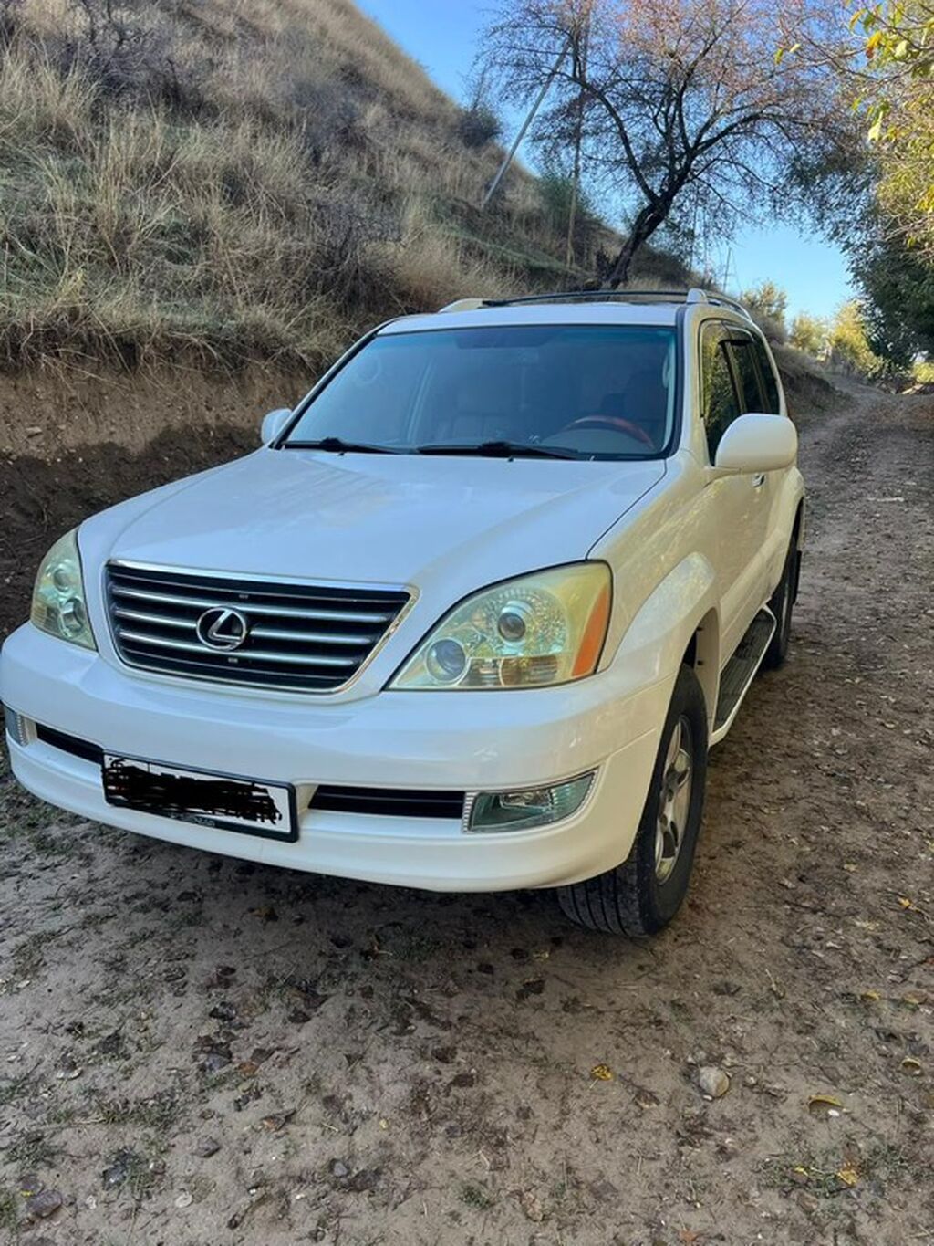 Lexus GX: 2008 г., 4.7 л, Автомат, Бензин, Внедорожник: фото 3