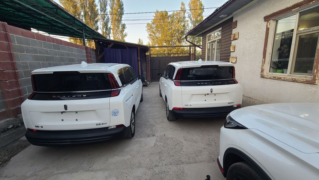 Microcar : 2023 г., 0.1 л, Автомат, Электромобиль, Минивэн: фото 2