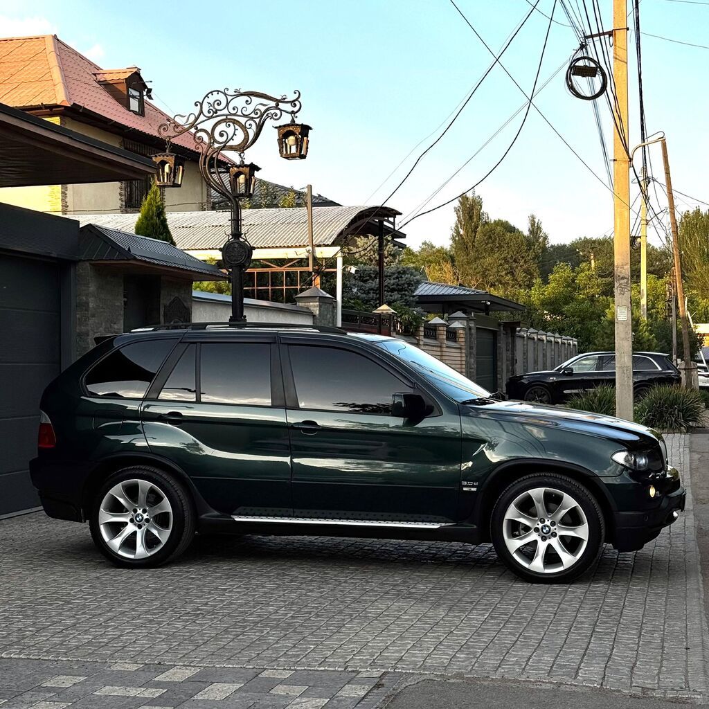 BMW X5: 2005 г., 3 л, Автомат, Дизель, Кроссовер: фото 5