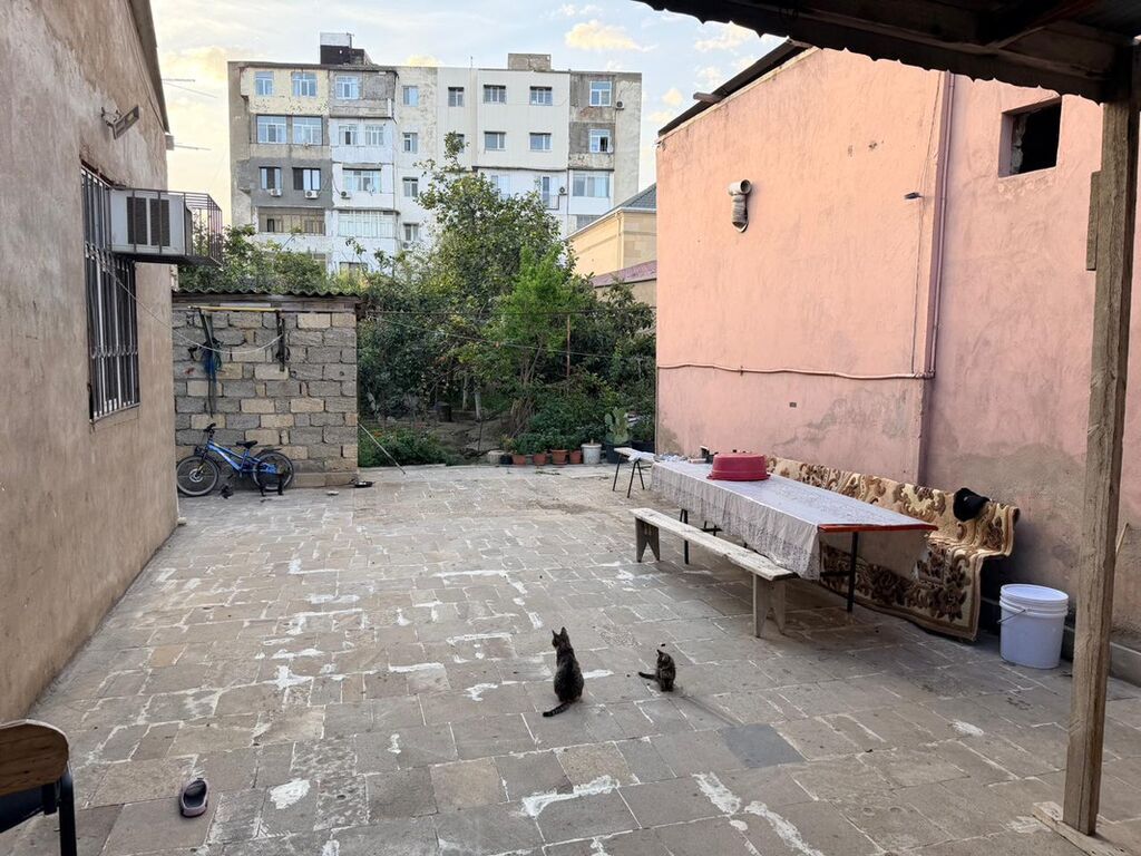 6 sot, Biznes üçün, Mülkiyyətçi, Kupça (Çıxarış)