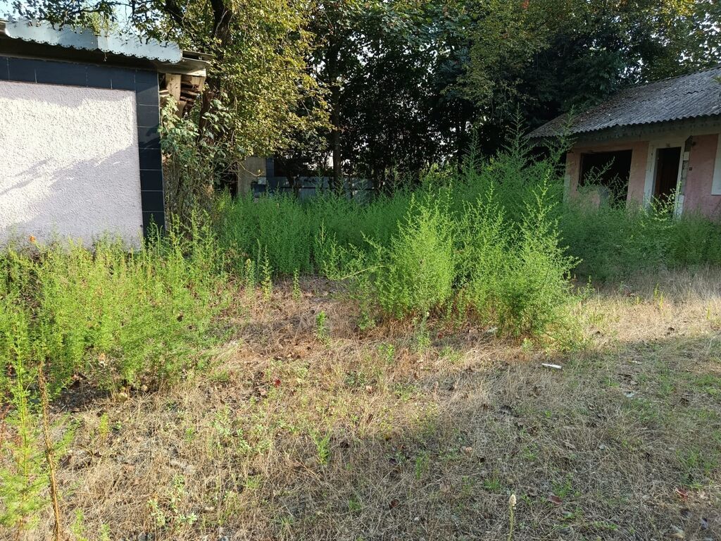 67 sot, Tikinti, Mülkiyyətçi, Kupça (Çıxarış)
