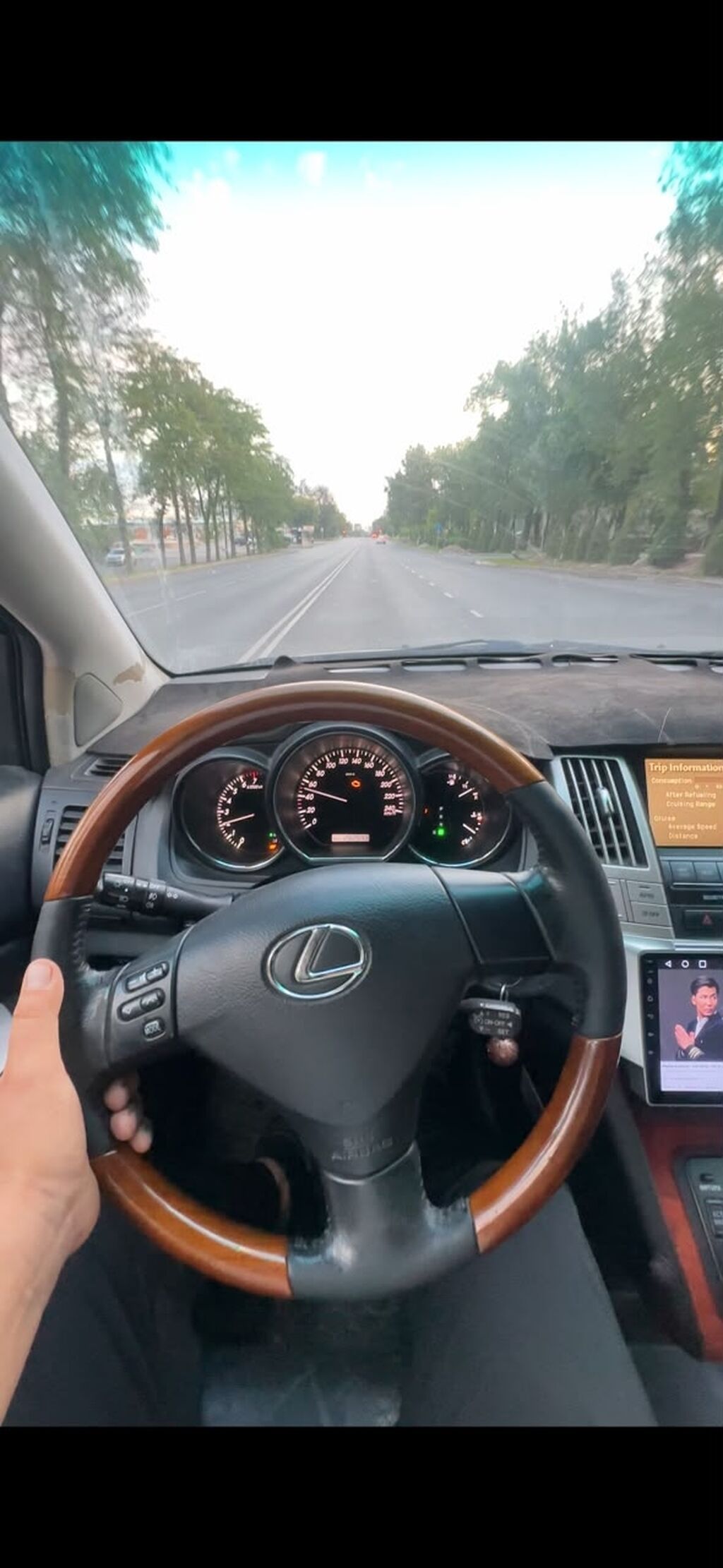 Lexus RX: 2006 г., 3 л, Автомат, Бензин, Кроссовер: фото 3
