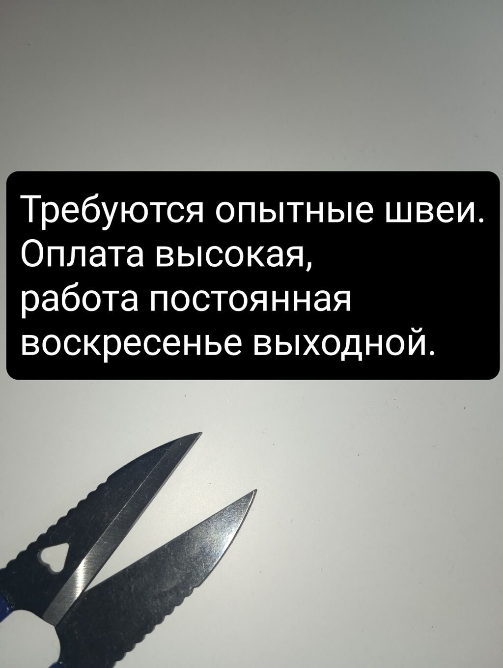 Требуются опытные швеи. Оплата высокая .: Договорная ᐈ Швеи | Сокулук |  37339876 ➤ lalafo.kg