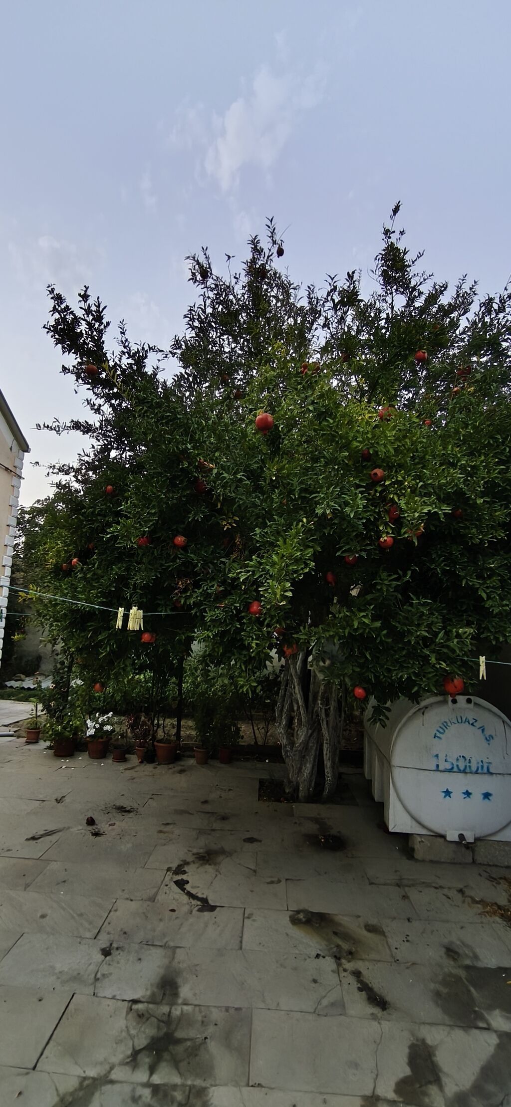 Binə 4 otaqlı, 171 kv. m, Kredit yoxdur, Yeni təmirli