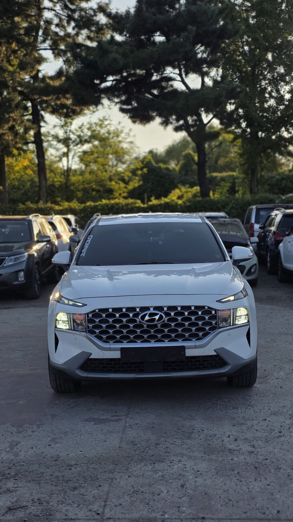 Hyundai Santa Fe: 2020 г., 2.2 л, Робот, Дизель, Кроссовер: фото 2