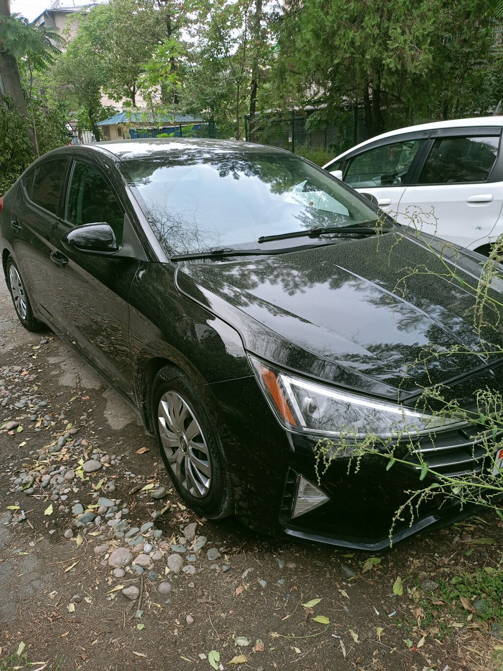 Hyundai Elantra: 2019 г., 2 л, Автомат, Бензин, Седан: фото 2