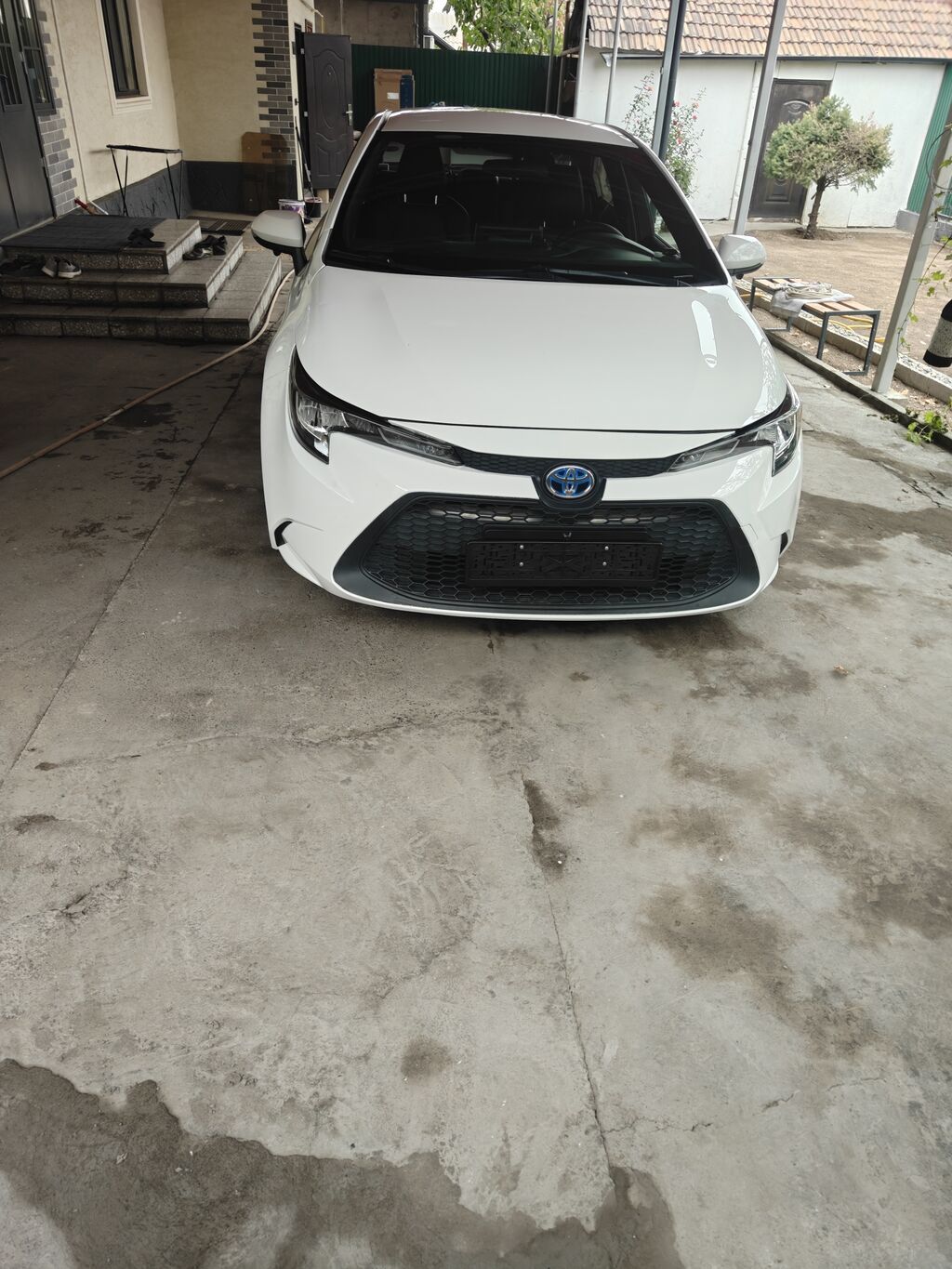 Toyota Levin: 2021 г., Автомат, Бензин, Седан: фото 1