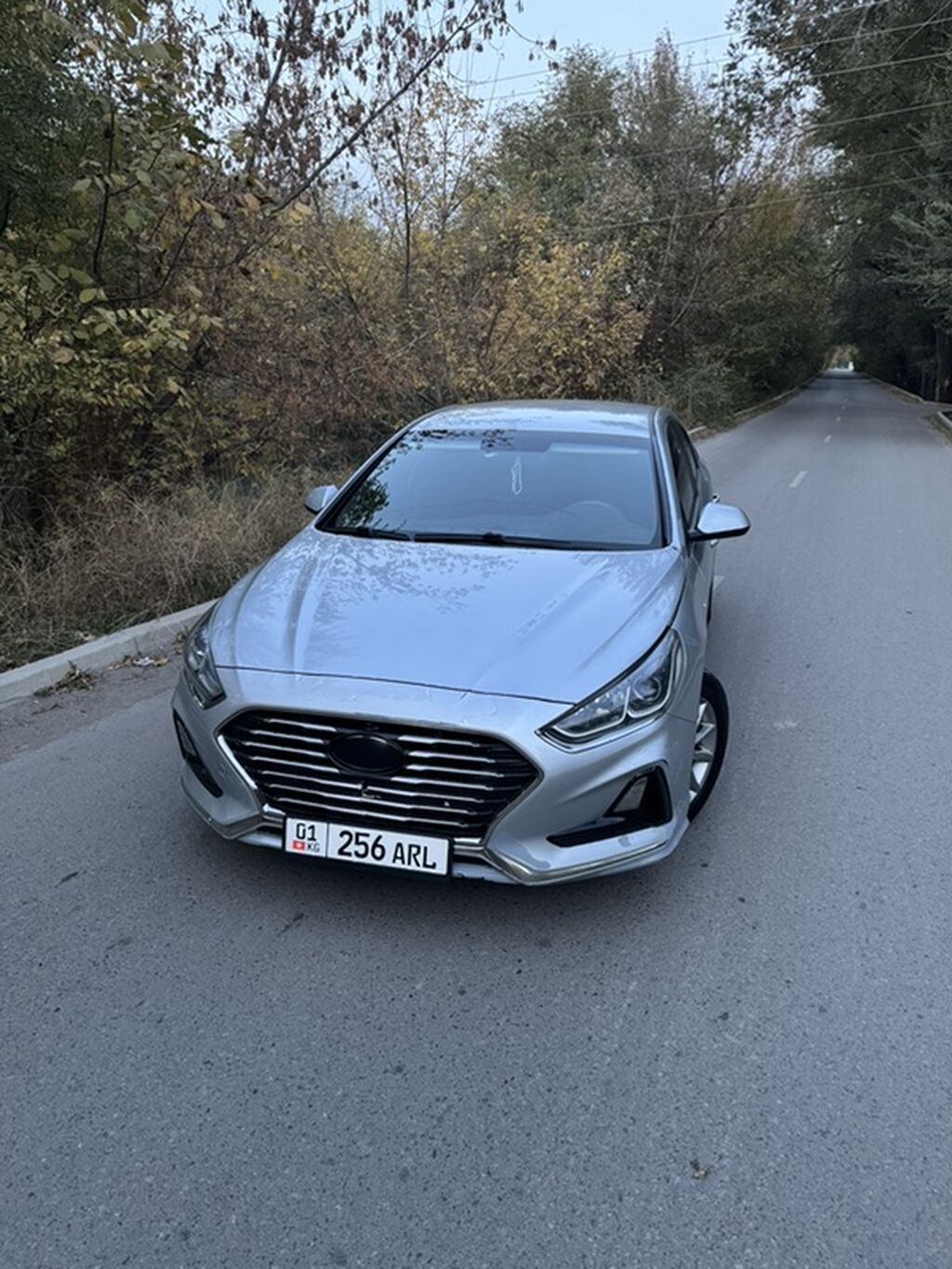 Hyundai Sonata: 2018 г., 2 л, Автомат, Газ, Седан: фото 1