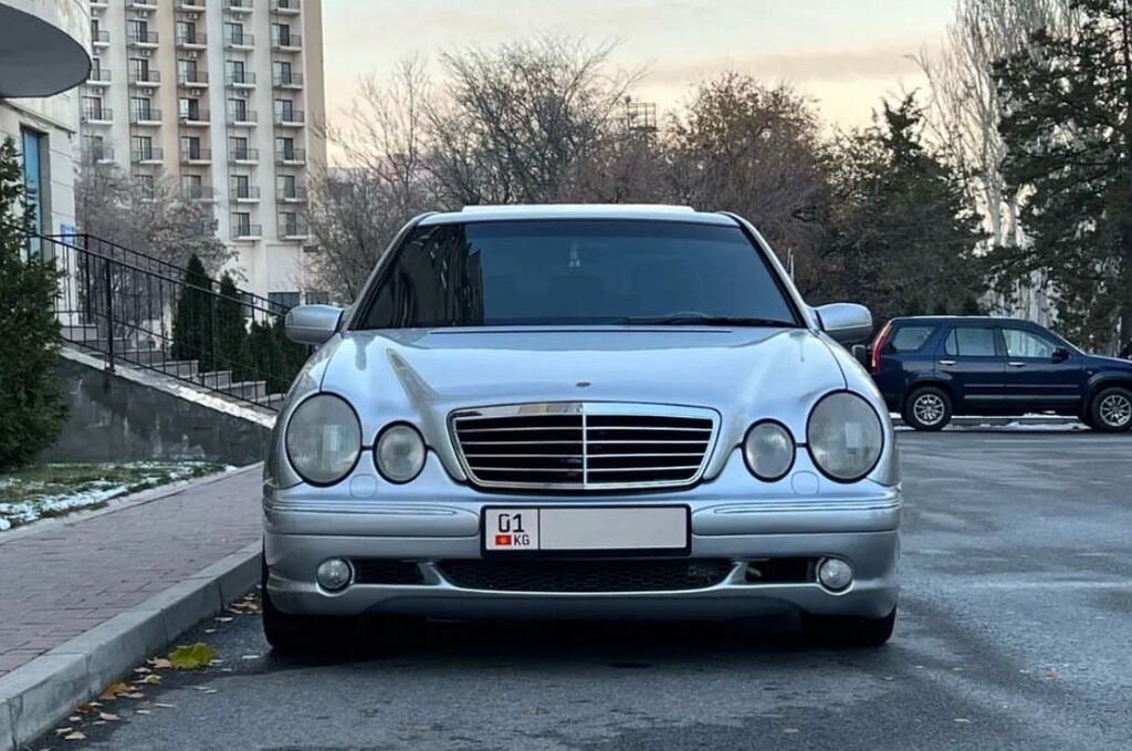 W210 лупарик