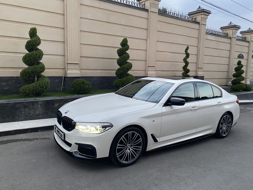 BMW 5 series: 2019 г., 2 л, Автомат, Бензин, Седан: фото 3