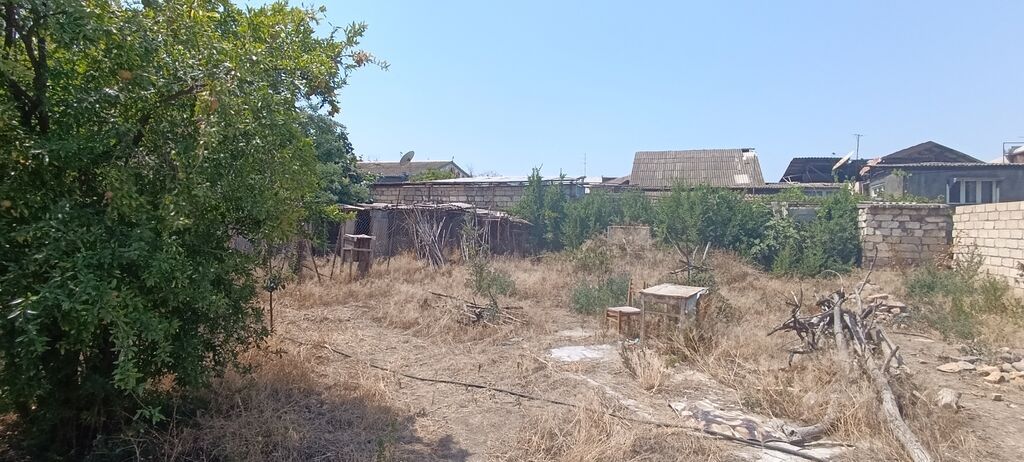 10 sot, Biznes üçün, Makler, Kupça (Çıxarış)