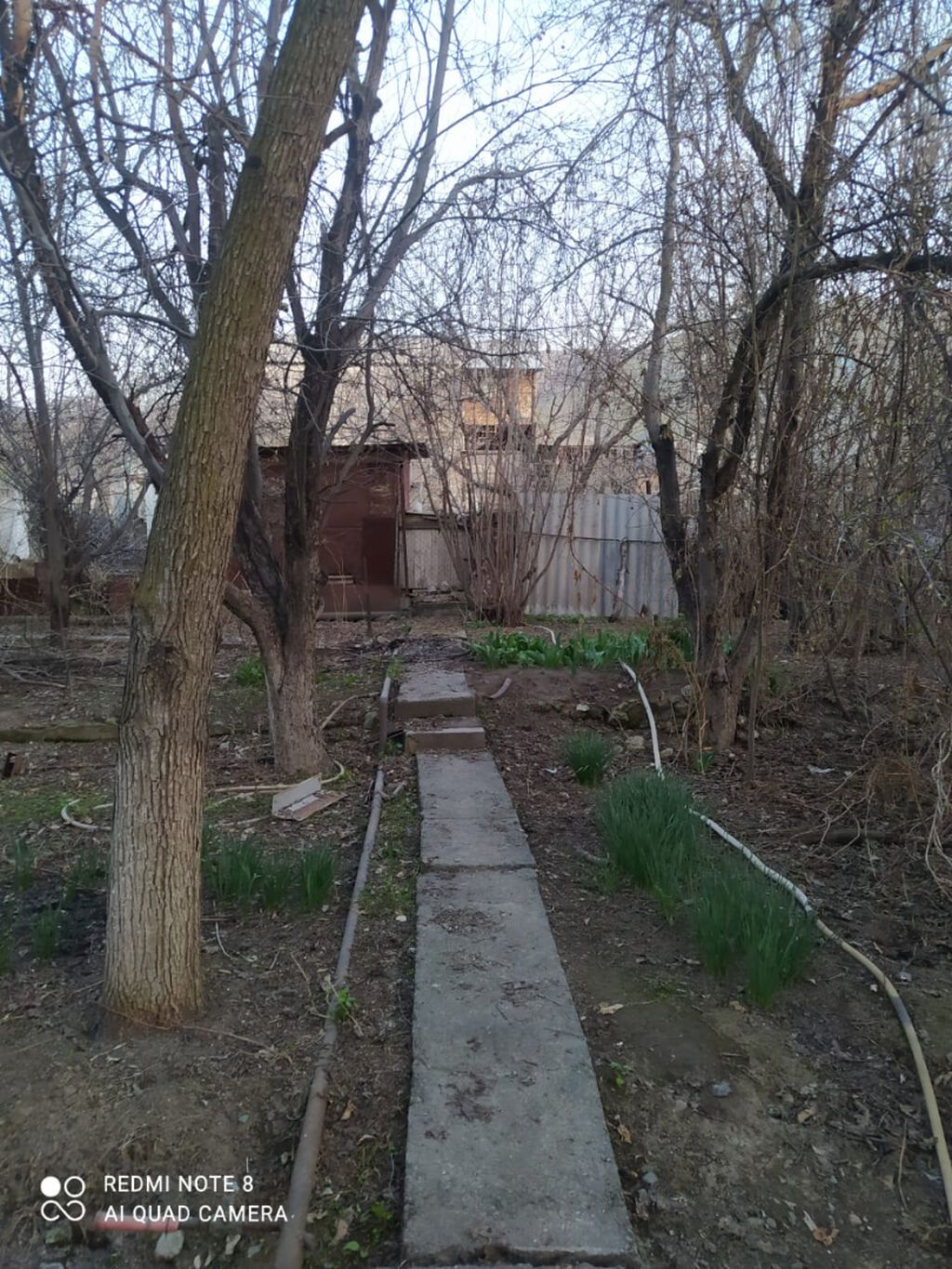 Сдаю дачу, дом кирп., 3 комнаты, вода поливная, свет, печное: фото 5