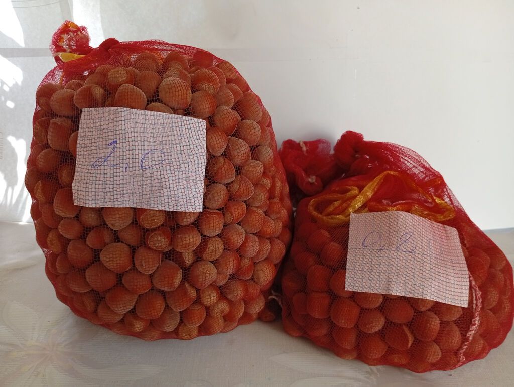 Продаю орех Фундук (лесной орех) со своего сада. Цена 1200 за кг: фото 2