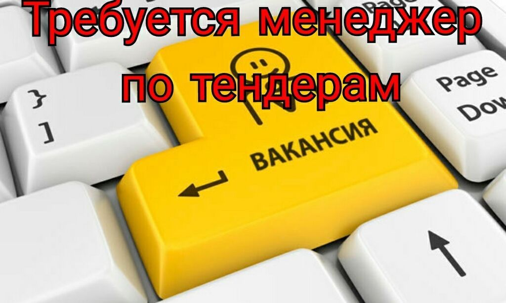 Менеджер по ТЕНДЕРАМ Вакансия!!! Требуется в | 20000 KGS | Офис ...