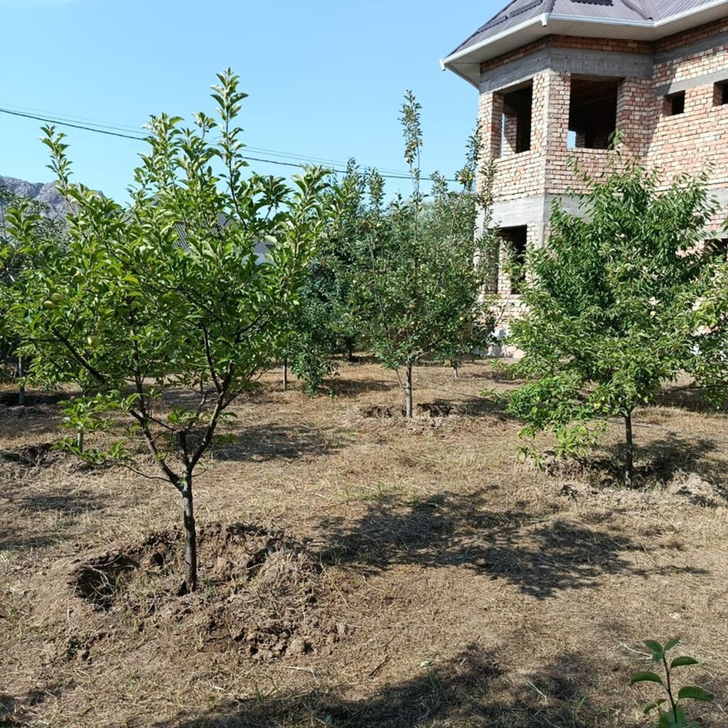 Продаю 2х этажный дом. Участок 6сот. Водопровод, канализация, свет: фото 3