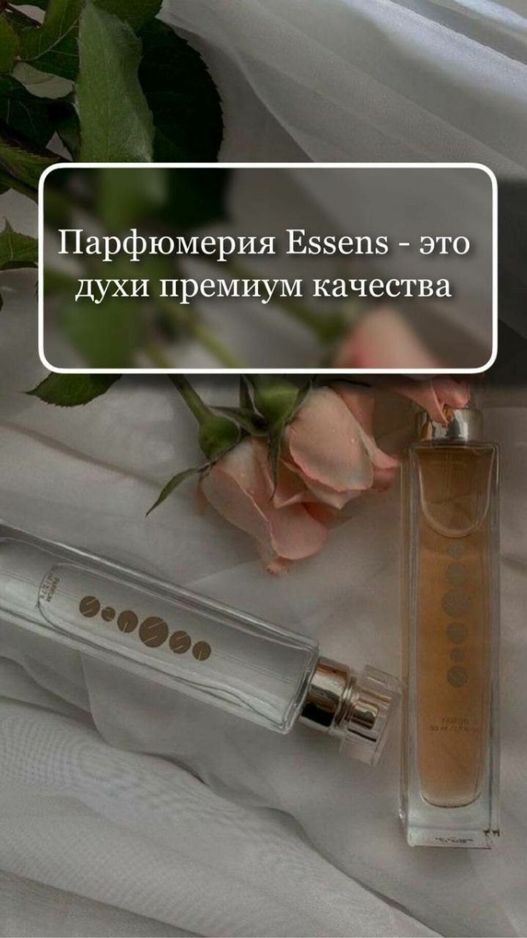 Удалённая работа в международном проекте Essens: фото 2