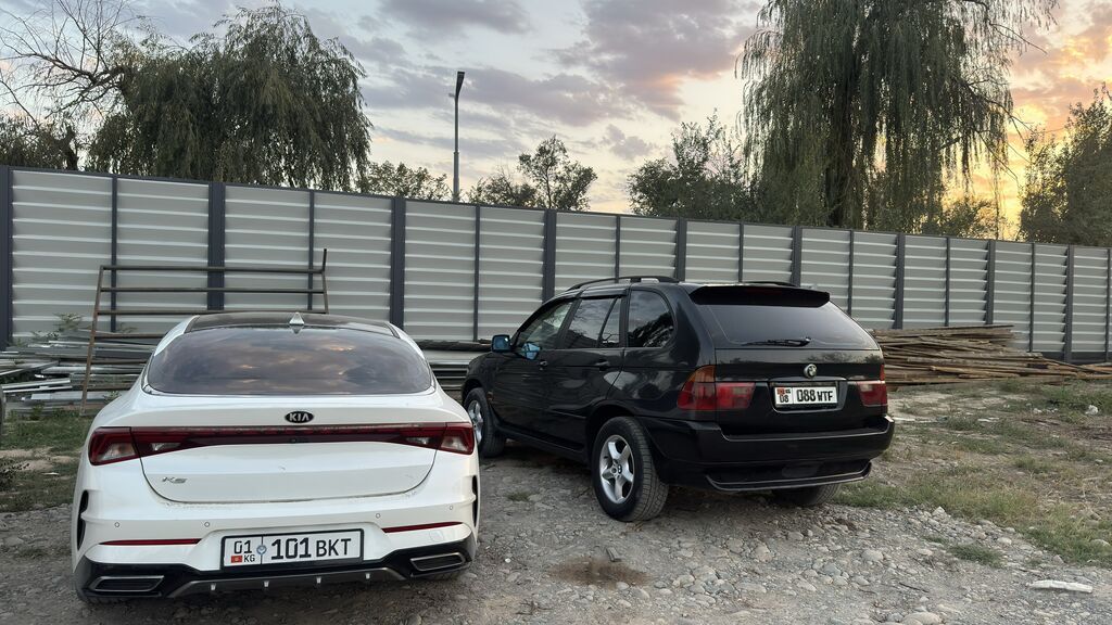 BMW X5: 2003 г., 3 л, Автомат, Дизель: фото 2