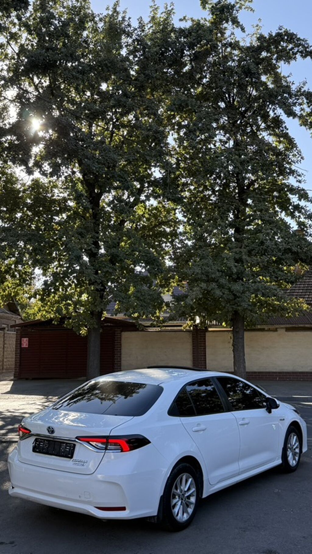 Фото 4