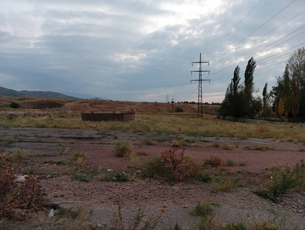 50 соток, Для бизнеса: фото 1