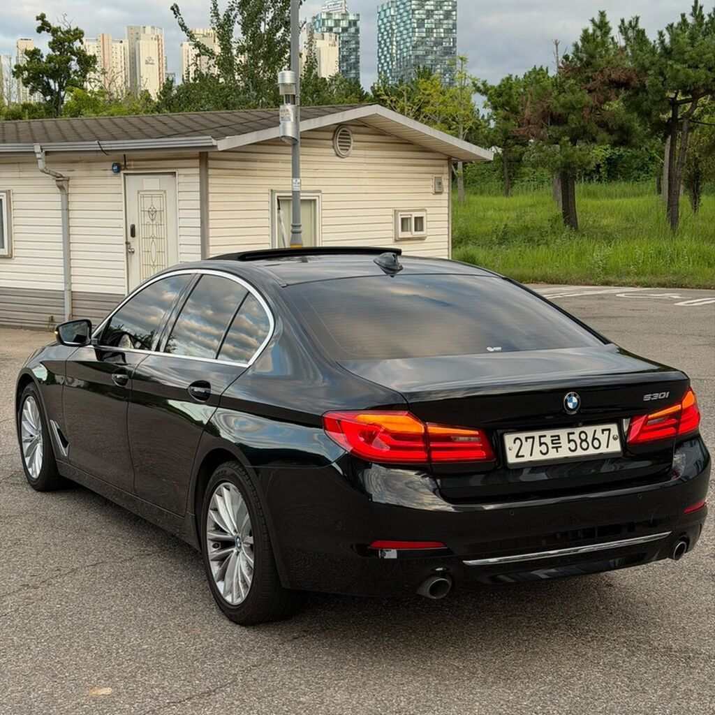 BMW 530: 2019 г., 2 л, Автомат, Бензин, Седан: фото 6