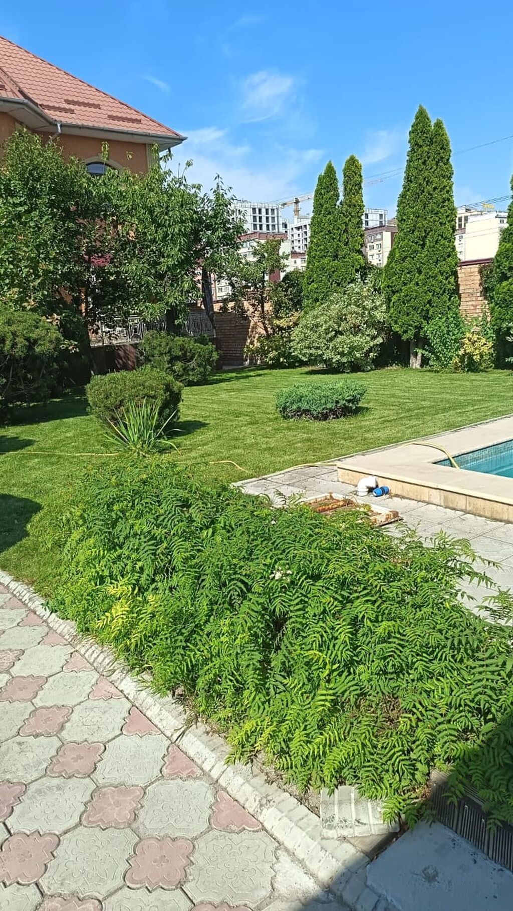 310 м², 6 комнат и более: фото 3