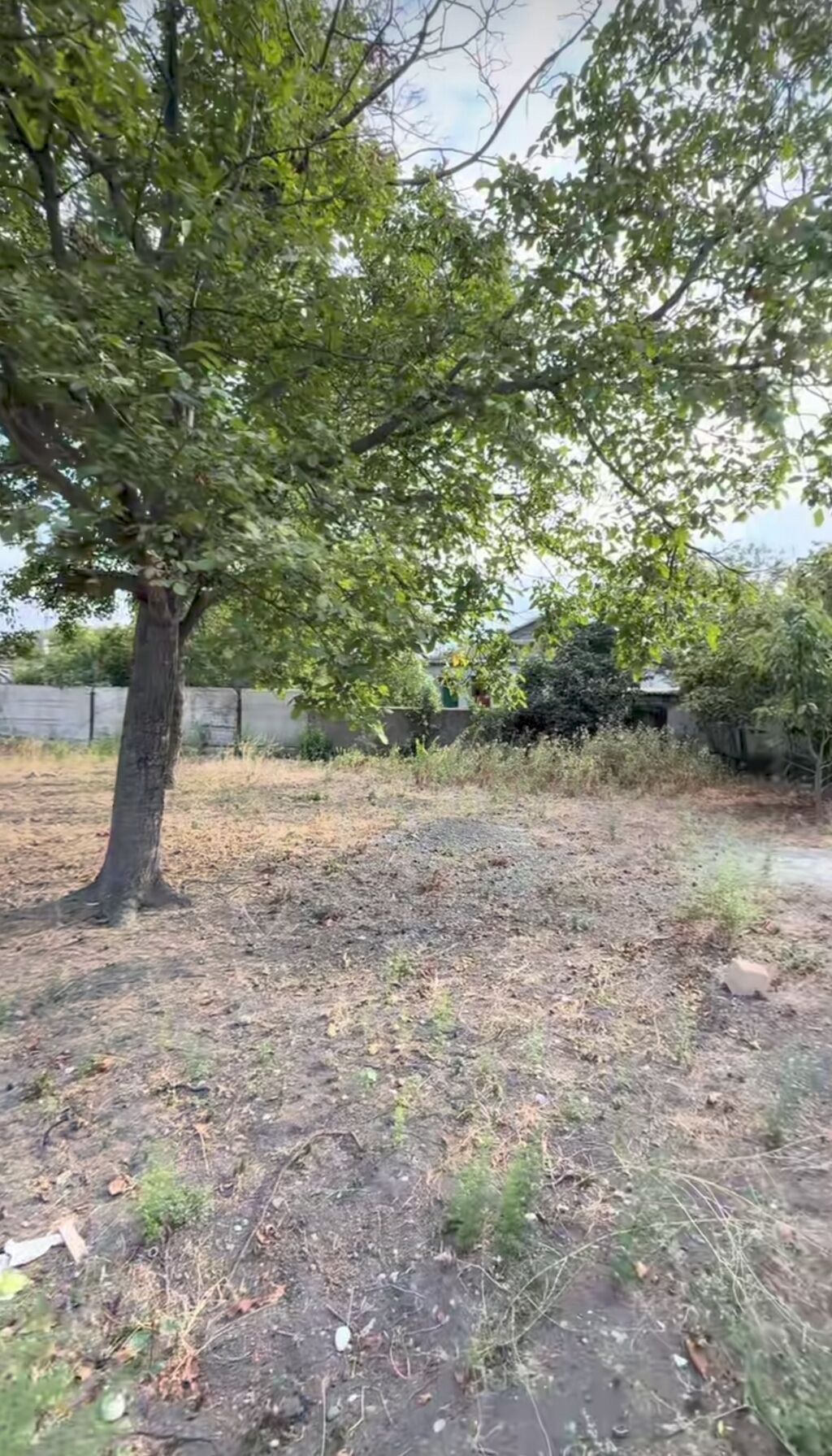 10 sot, Tikinti, Barter mümkündür, Kupça (Çıxarış)