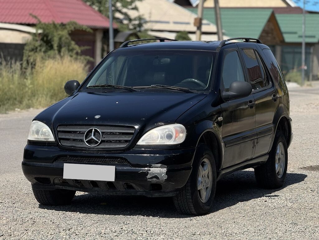 Mercedes-Benz ML-Class: 1999 г., 3.2 л, Автомат, Бензин, Внедорожник: фото 1
