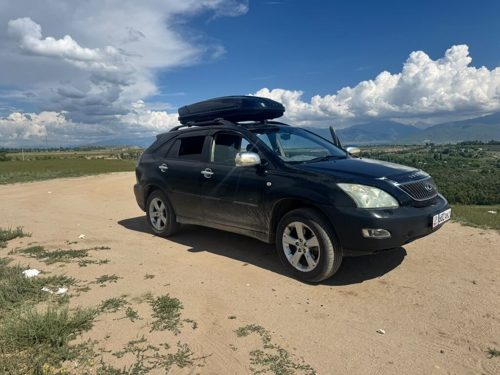 Lexus RX: 2003 г., 3 л, Автомат, Бензин, Кроссовер: фото 4