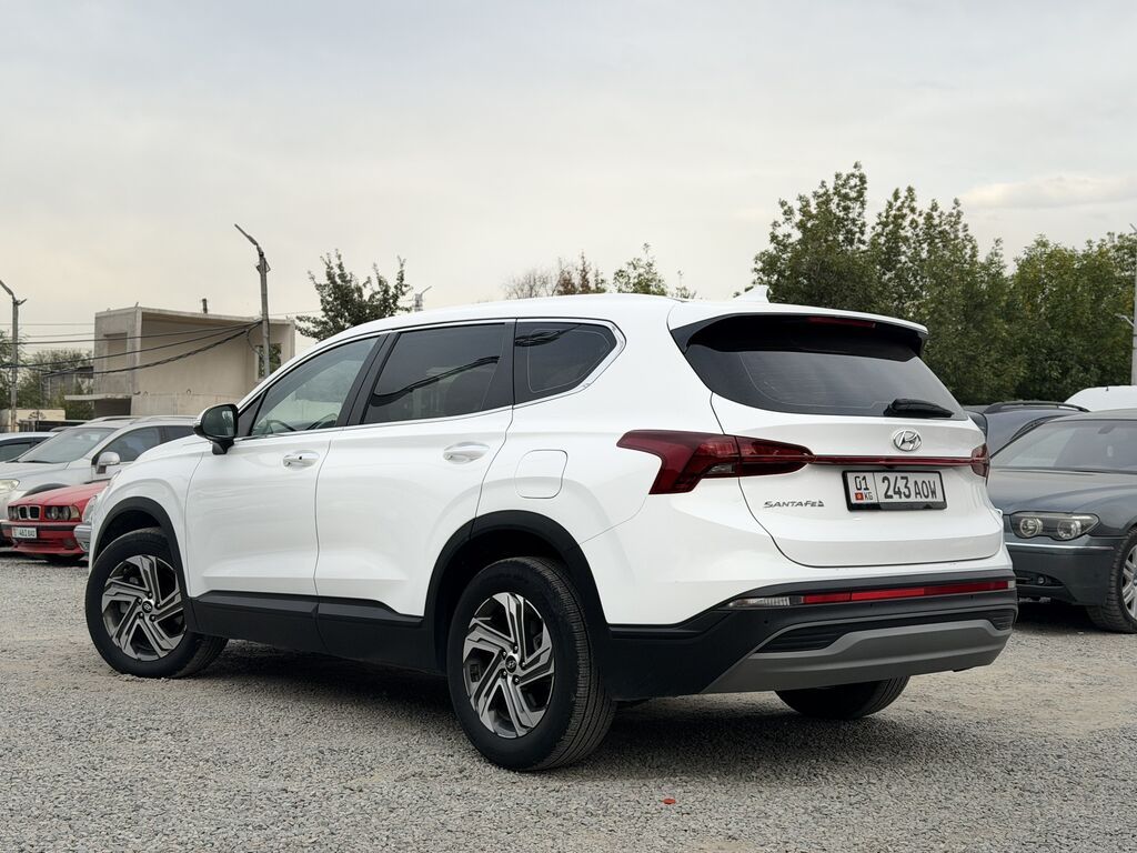 Hyundai Santa Fe: 2021 г.: фото 3